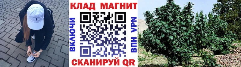 Купить наркоту Горняк Марихуана  Мефедрон  Вейп ТГК  Амфетамин  ГАШ  Cocaine  Псилоцибиновые грибы 
