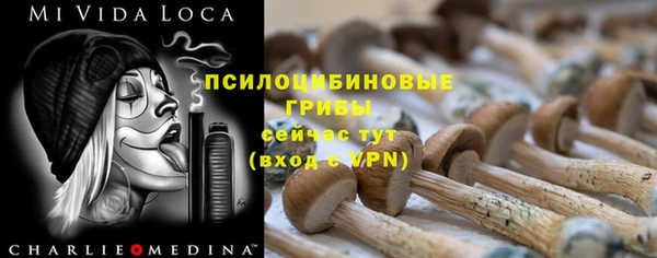 прущие крисы Бугульма