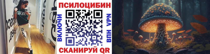 blacksprut онион  Горняк  Псилоцибиновые грибы Cubensis 