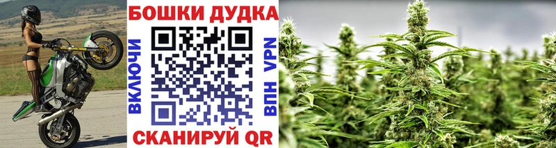 Конопля AK-47  закладки  Горняк 